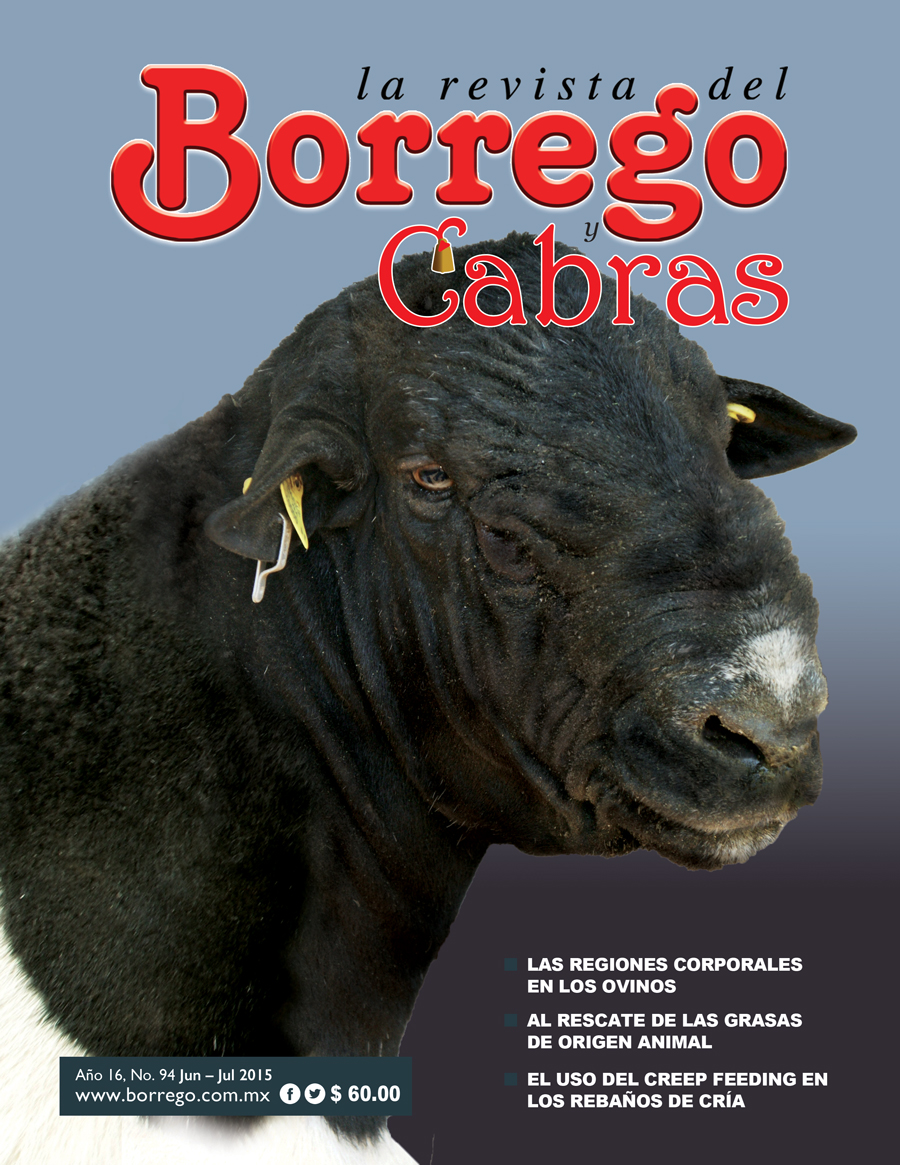 PortadaBorrego94