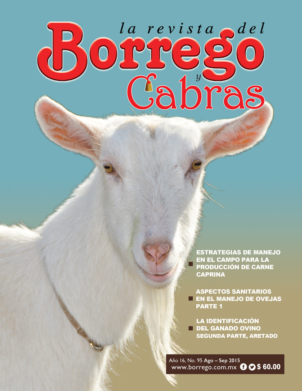 PortadaBorrego95