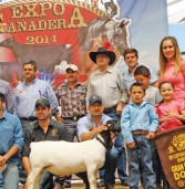 Expo Tepa, una plaza con prestigio para ovinos y caprinos