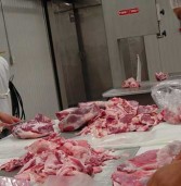 Calidad de canal y carne en ovinos