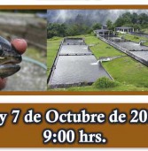Prevención y Diagnóstico de Enfermedades en el cultivo de trucha en México 6 y 7 Oct 2016