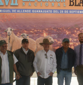 Sorprende la calidad genética de los ovinos en San Miguel de Allende, Guanajuato