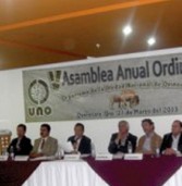 Realiza Consejo Directivo de la UNO, Asamblea en Querétaro